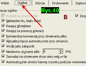 Ryc.40. OPCJE: Og�� (3,9 kB)
